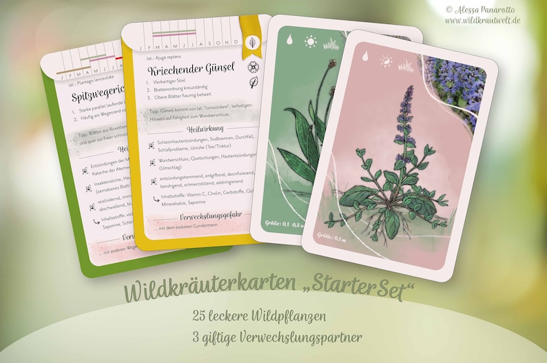 Self Sufficient Wild HERBS CARD SET For Beginners Medicinal Plants Learning Cards Bild 3
