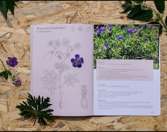 ILLUSTRATED Wild HERB BOOK For Beginners - Color Printing Wild Plant Knowledge Book