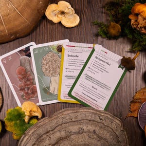 Wilde PADDESTOELEN LEERKAARTEN Set voor beginners - leer paddenstoelen herkennen, leer paddenstoelen verzamelen, paddenstoelenverzamelaars, natuurliefhebbers, cadeau, paddenstoelenboek, kinderen