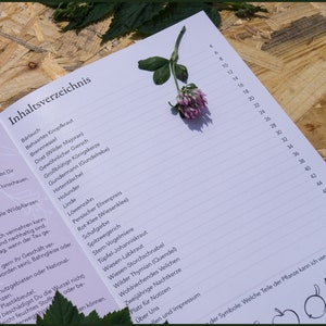 Wild HERBAL Learning PACKAGE For BEGINNERS Medicinal and Edible Plants Book And Card Set Bild 9