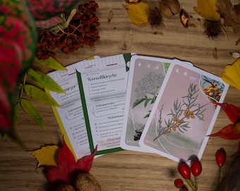 Handy WILD FRUIT CARD Set For Beginners – Self Catering Wild Herbs And Medicinal Plants Card