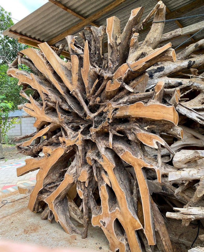 Artistic Square Teak Root Wall Decor Natural Finishteak Etsy