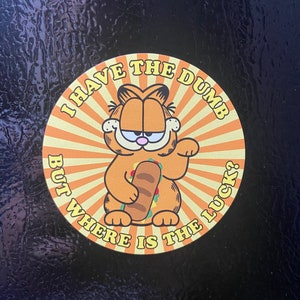 De oranje magneet van het kattengeluk