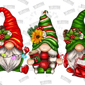 Christmas Gnomes Png, Gnomes Design, Christmas Sublimation,Christmas Png File,Christmas Gnomes Png, Family Gnomes Png, Sublimation Design