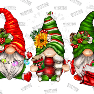 Christmas Gnomes Png, Gnomes Design, Christmas Sublimation,Christmas Png File,Christmas Gnomes Png, Family Gnomes Png, Sublimation Design