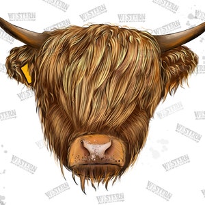 Highland Cow Sublimation Png design, Highland Cow Png, Highland Cow, Hand Drawing, Instant Download Digital Print png file
