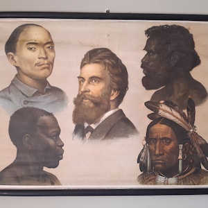 Póster antiguo raro, Las cinco razas humanas, Póster educativo vintage, Principios del siglo XX, Decoración de pared