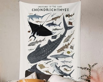 Cartoon Sea Animals Tapestry, Chondrichthyes Tapestry Wall Hanging, Wall Mural Wall Decoration, Kid's Room Decor, Fish Blanket for Kids Gift