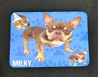 Custom Photo Magnets
