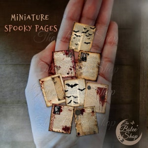 Miniature Horror Pages, Haunted Dollhouse, Spooky Decor, Halloween Dollhouse, Horror Mansion, Old Letters, Vampire, Gothic Paper, Mini Book