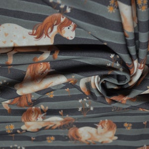 Bio Jersey Stoff - pummeliges Pony