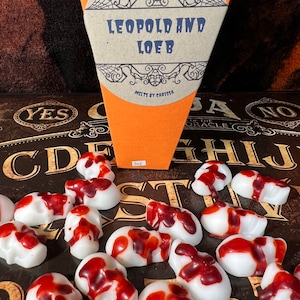 Male True crime skull 3oz wax melts coffin packaging gift
