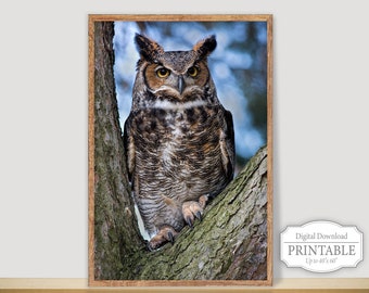 Printable Great Horned Owl, Wildlife Instant Download Wall Décor, Owl Photo Digital Download
