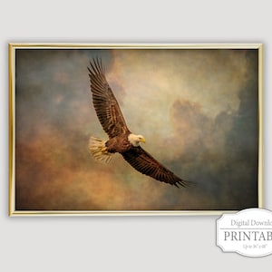 Descarga digital de águila calva, fotografía artística de águila calva en vuelo, arte mural imprimible de águila calva, descarga instantánea de águila