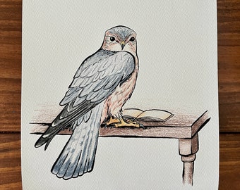 Merlin Bird Reading Art Print, Whimsical Wall Decor (9x12)