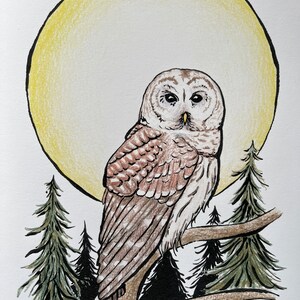 May include: A brown and white owl perched on a branch with a yellow moon in the background. The owl is looking to the left with its wings folded. There are green pine trees in the background.