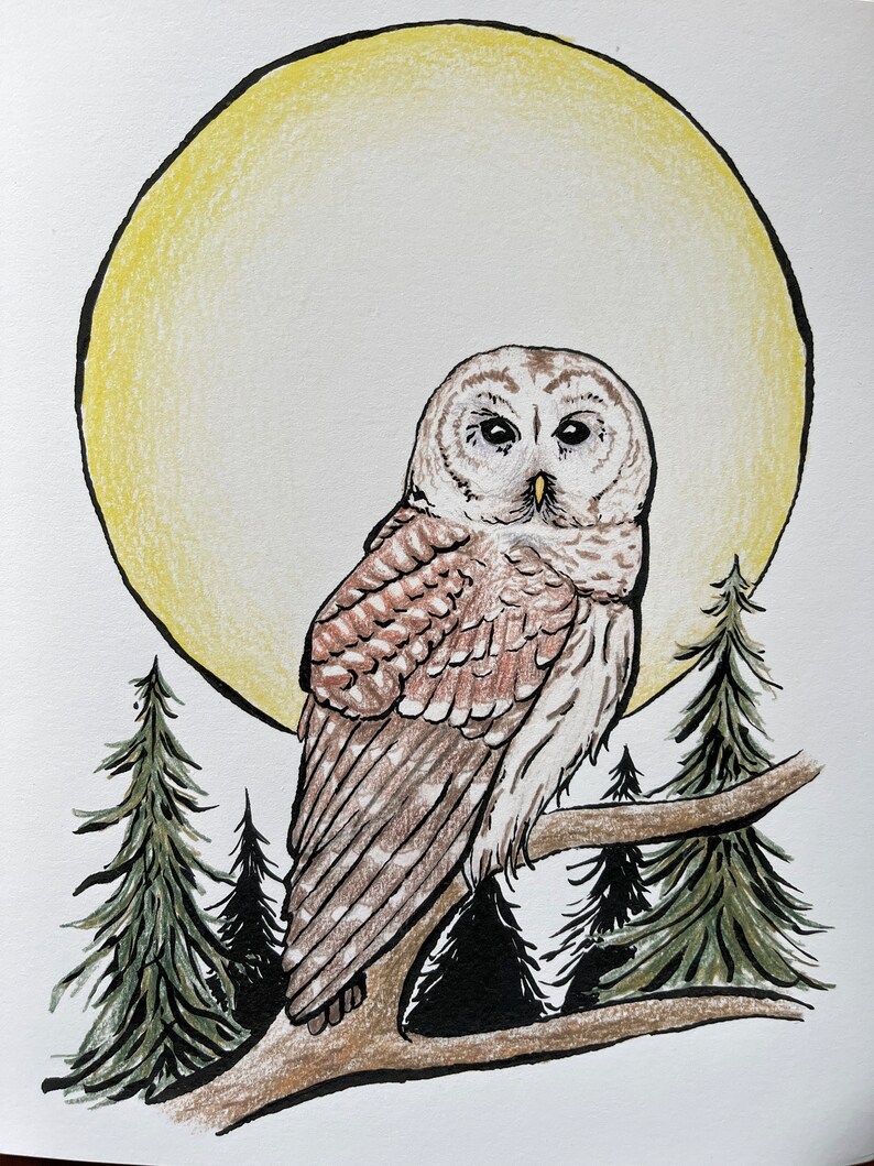 May include: A brown and white owl perched on a branch with a yellow moon in the background. The owl is looking to the left with its wings folded. There are green pine trees in the background.