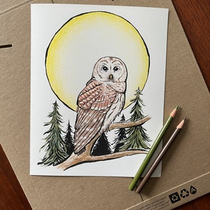 May include: A hand-drawn illustration of a barred owl perched on a branch with a yellow moon behind it. The owl is brown and white with large, dark eyes. The background is a light blue with green trees.
