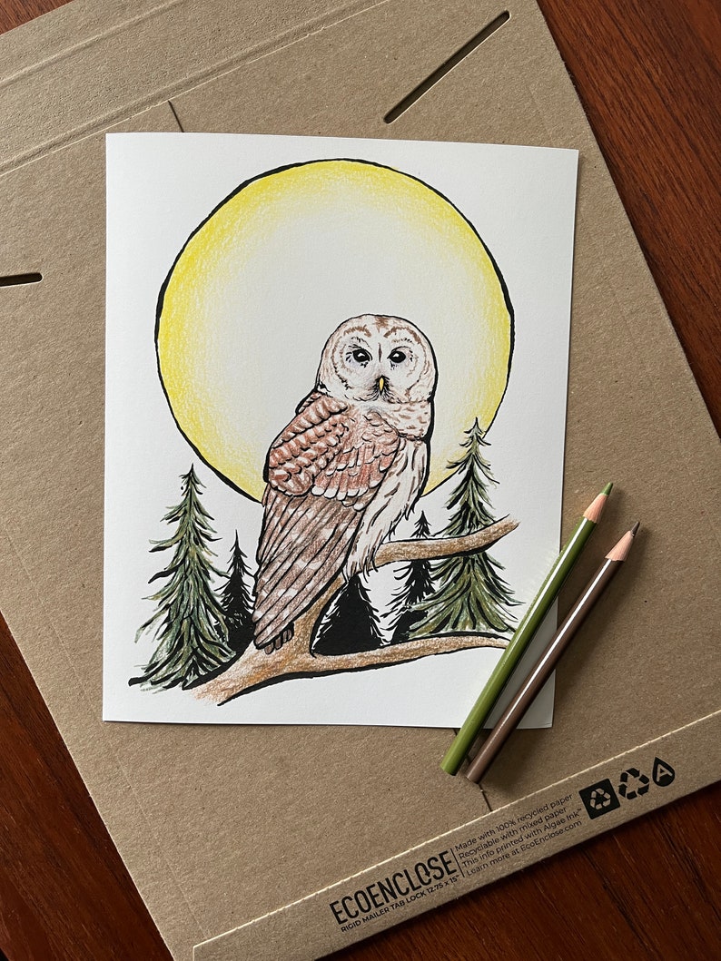 May include: A hand-drawn illustration of a barred owl perched on a branch with a yellow moon behind it. The owl is brown and white with large, dark eyes. The background is a light blue with green trees.