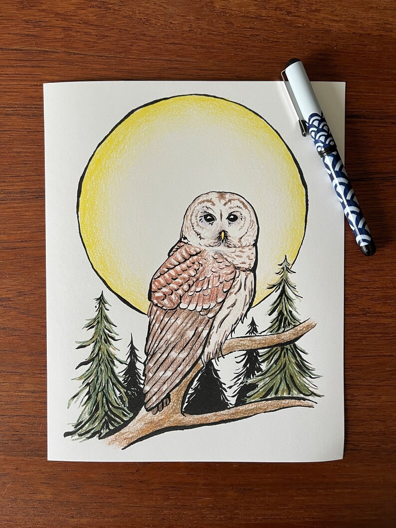 May include: A hand-drawn illustration of a brown and white owl perched on a branch with a yellow moon behind it. The owl is surrounded by green pine trees.