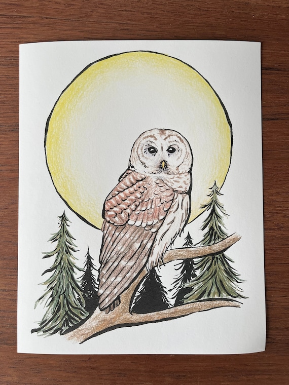 Barred Owl Art Print, Colored Pencil Illustration, Moon and Trees (8x10 inch)