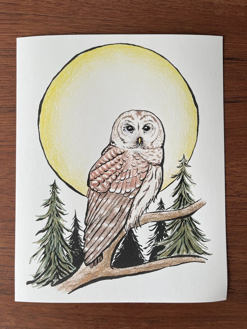 May include: A hand-drawn illustration of an owl perched on a branch with a yellow moon in the background. The owl is brown and white with large, dark eyes. The branch is brown and the trees are green.