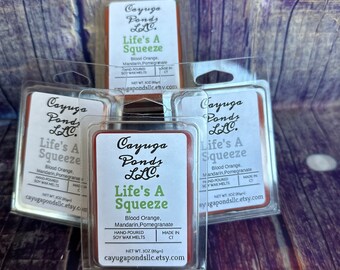 Life's a Squeeze Wax Melt: Blood Orange, Mandarin, Pomegranate