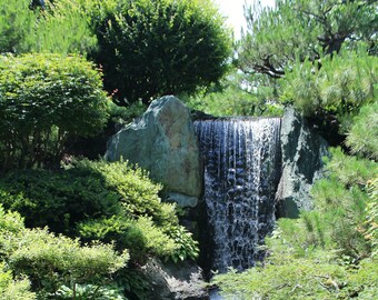 Botanical Garden Waterfall Photo Print, Framed Wall Art