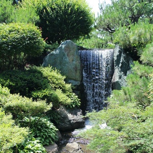 Garden Waterfall, Photo Print, Fine Art Photography Print, Framed Art, Wall Decor, Art Prints, Botanical Garden