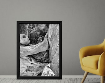 Black and White Wood Abstract Photography Print, Fine Art Wall Decor