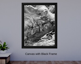 Black and White Wood Abstract Photo Print, Fine Art Wall Decor