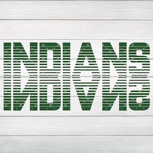 Vert miroir Indiens PNG