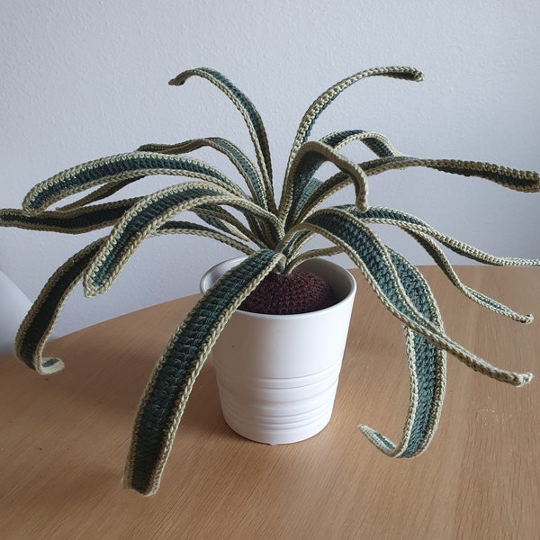 Spider Plant Crochet Pattern