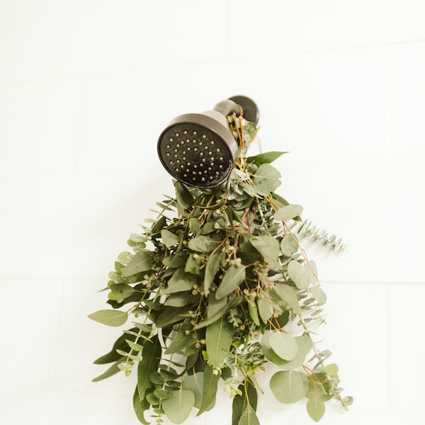 Eucalyptus Shower Bundle Etsy