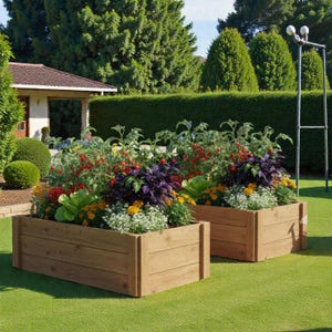 May include: Two wooden raised garden beds filled with a variety of colorful plants and vegetables. The beds are rectangular and made of light brown wood. The plants include tomatoes, basil, and other flowers, set against a green lawn and a backdrop of trees.