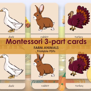 BAUERNHOF Montessori Lernkarte, Printables Lernkarte, Arbeitsblätter für Kinder, Match Spiel