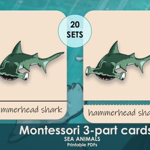 MEER ANIMALS Montessori Matching Cards, Kid Flashcards