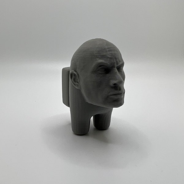 Among Rocks | Dwayne Johnson | 3D Printed