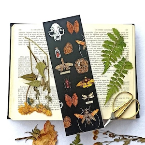 Witchy Bookmark, Insect Bookmarks, Beetles, Oddities Bookmarks, Gift ...