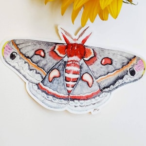 Pegatina de polilla Cecropia, calcomanía de polilla, pegatina de coche, resistente al agua y a la intemperie
