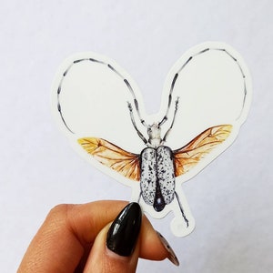 Longhorn Beetle Sticker: Waterproof Insect Decal for Laptop, Hydroflask
