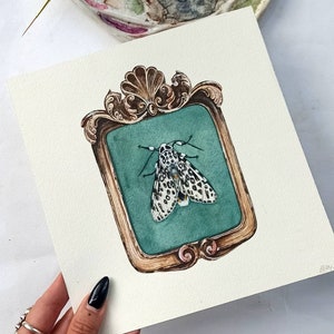 Pinned Moth n.10 Watercolor Illustration, Cabinet of curiosities Collection