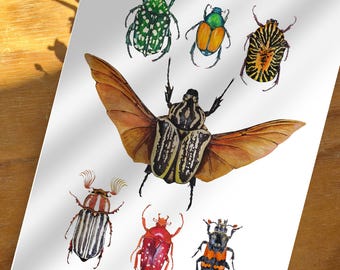 Insect Wall Art Print of Beetle Watercolor, Entomology Illustration, Natural History Poster, Bug Lover Gift, Nature Gallery Wall