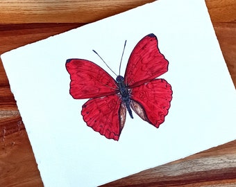 Red Butterfly, Watercolor Art Print, Cymothoe sangaris, Entomology Gift