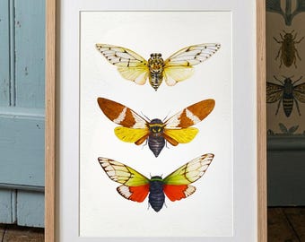 Insektsväggkonsttryck av cikadaexemplar, Dark Academia väggdekor, akvarell insekter handritade entomologigåva