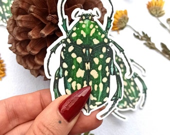 Flower Chafer Beetle Waterproof Sticker