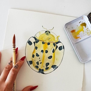 Cassidinae Yellow Beetle wall art, ORIGINAL ILLUSTRATION