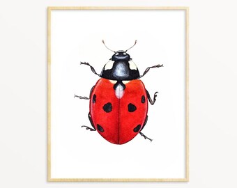 てんとう虫カブトムシ絵画水彩インク虹色ウォールアートてんとう虫