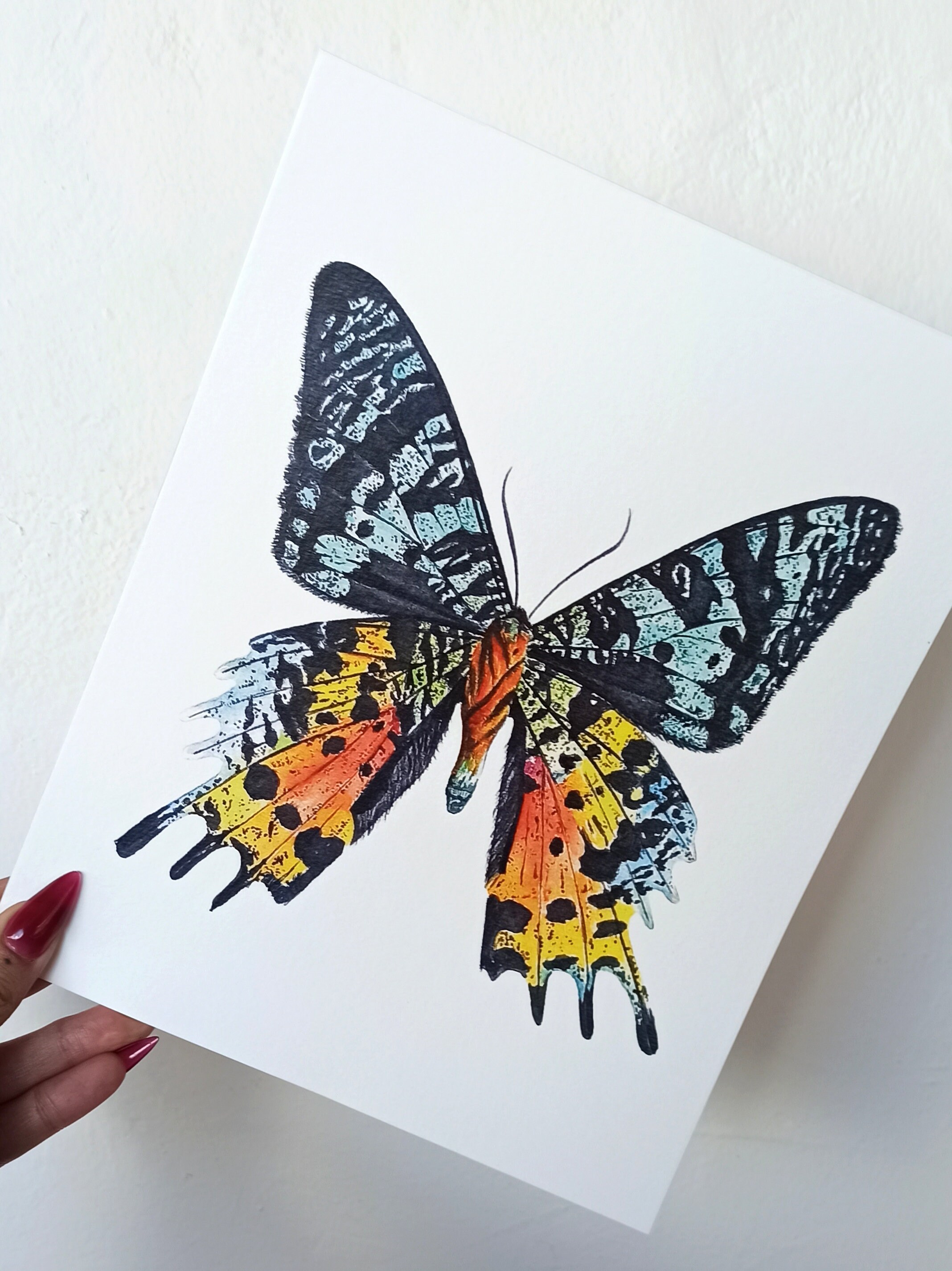 Moth Art Print of Madagascar Sunset Moth, Colorful Insect Entomology ...