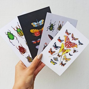 Insekten Postkarten Set, 4 Stück Postkarten, Motten und Käfer Grußkarten, Natur Kunst Postkarten, Insektendruck Postkarten, Postkarte Sammlergeschenk